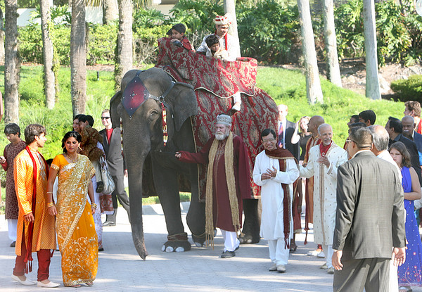 Nearly 500 guests attended the elaborate traditional Indian wedding ceremony
